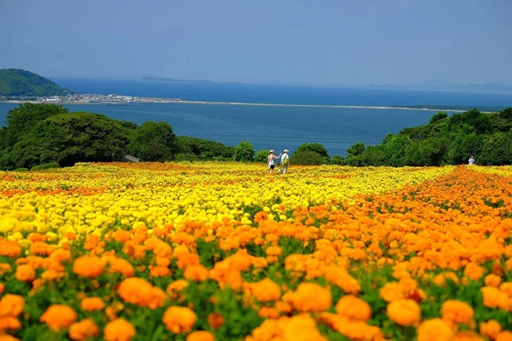 博多湾の離島「のこのしまアイランドパーク」のコテージ「Villa防人」宿泊(2食付き)