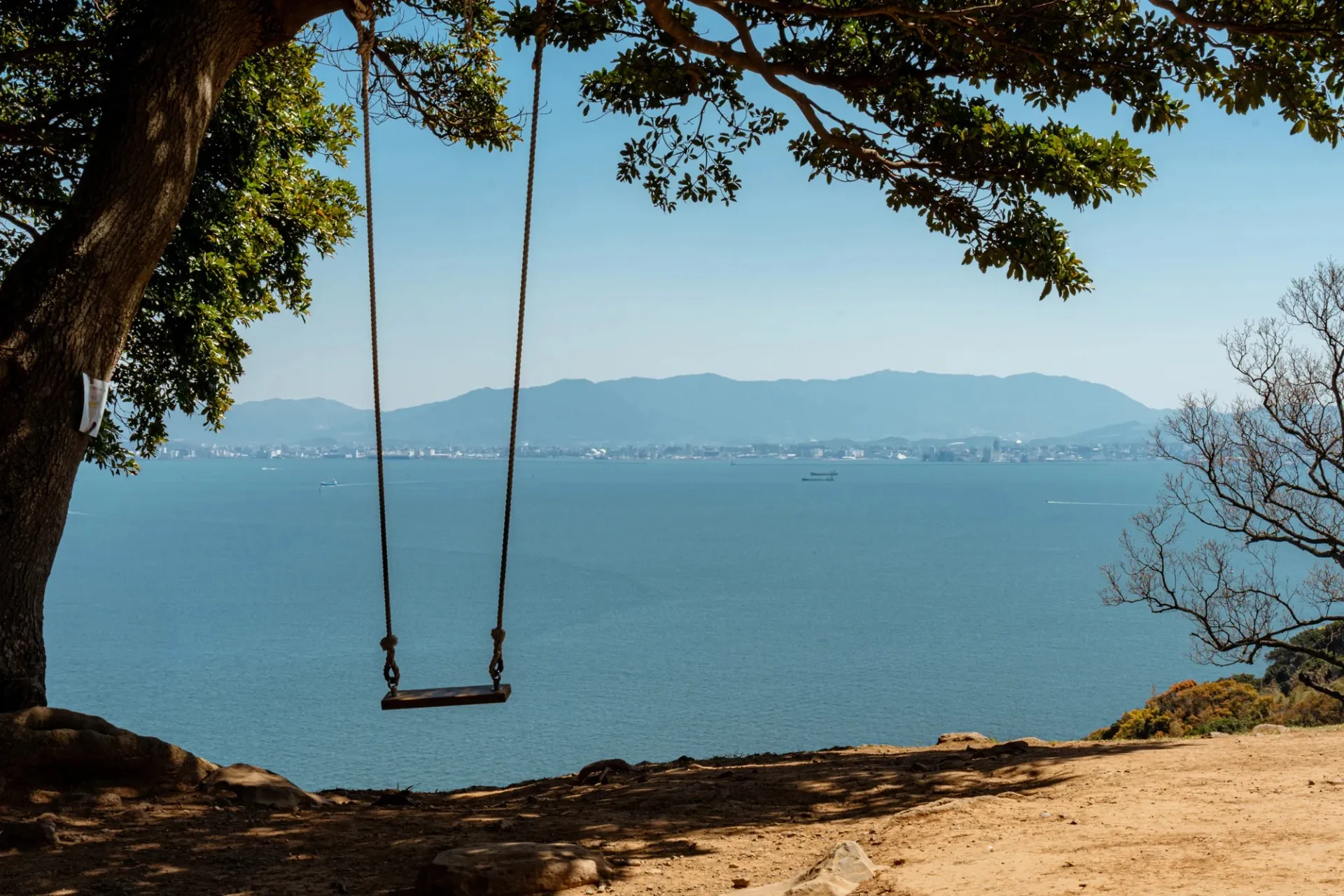 海に飛び出すブランコ