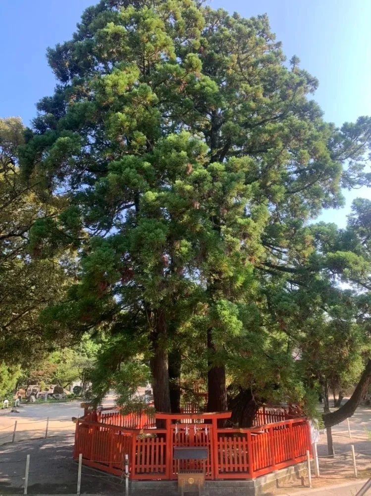 綾杉パワースポット