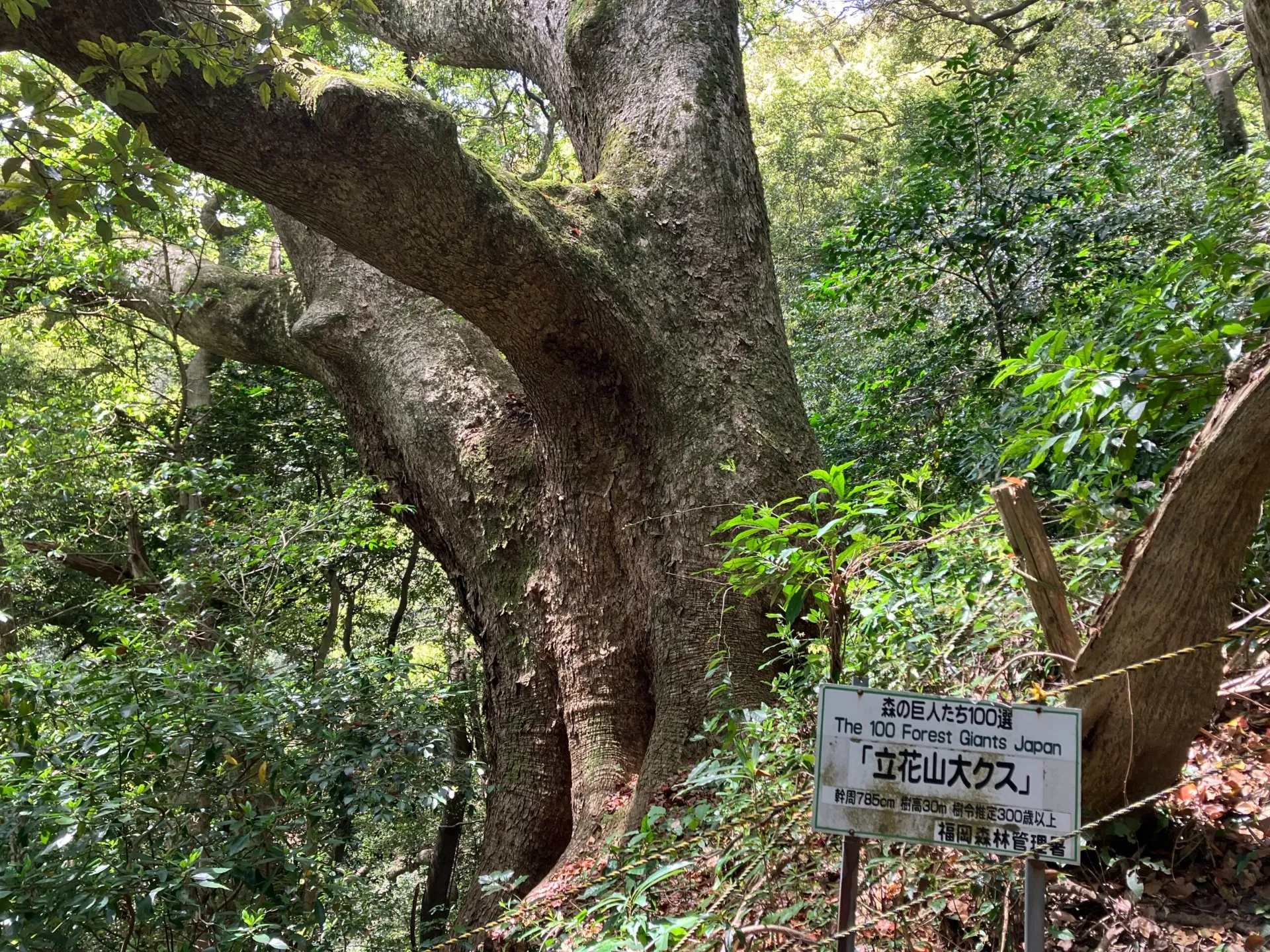 【立花山コース】