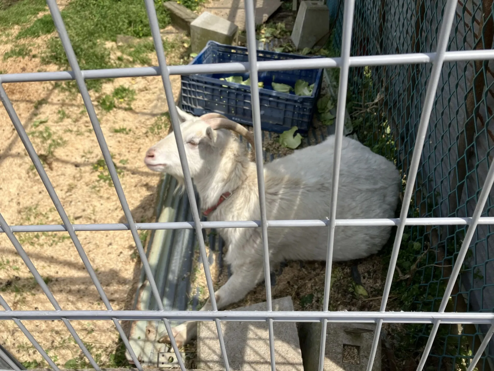 【立花山コース】