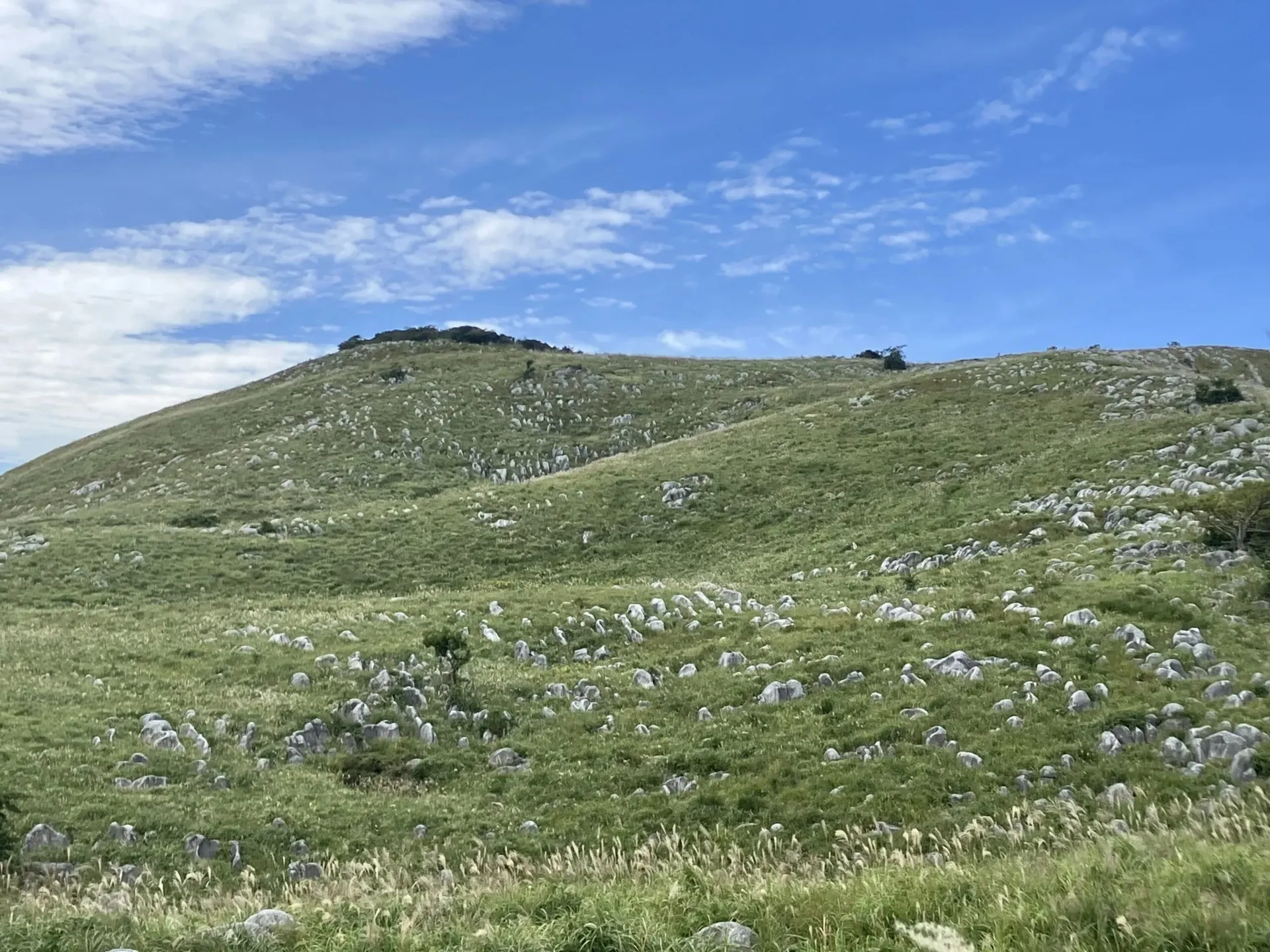 北九州市<br>【平尾台 大平山・広谷台コース】