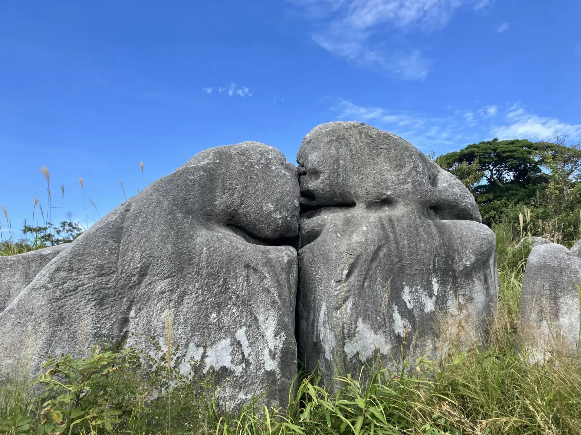 北九州市<br>【平尾台 大平山・広谷台コース】