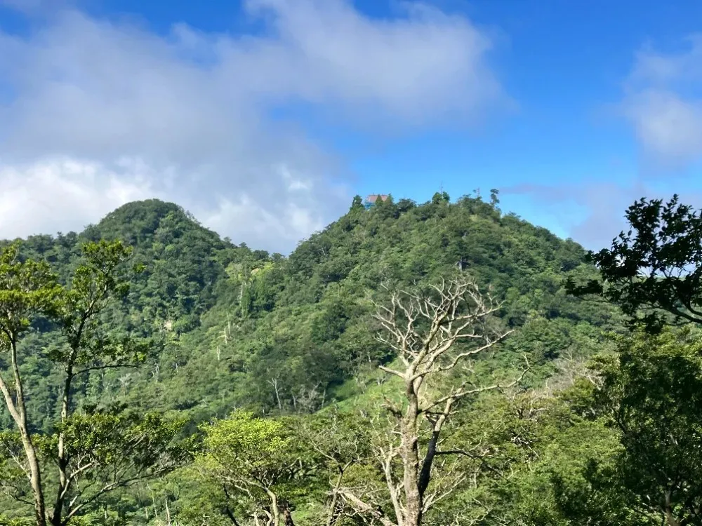 春の英彦山<br>中岳と、英彦山最高峰の南岳