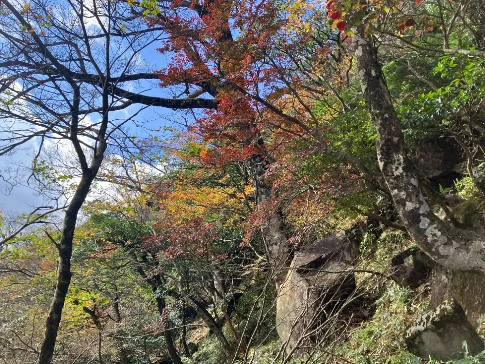 秋の英彦山<br>英彦山の紅葉