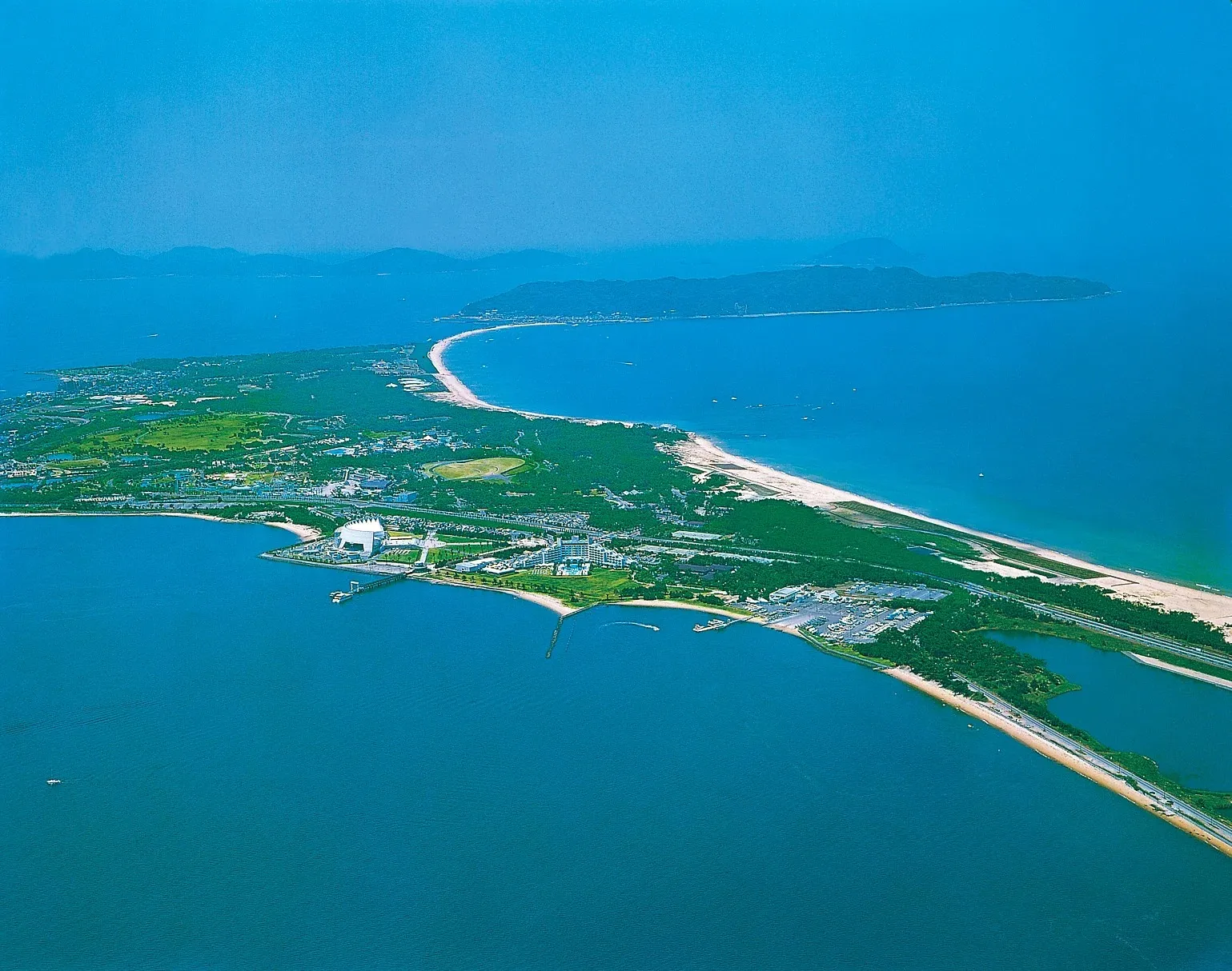 写真提供:福岡市