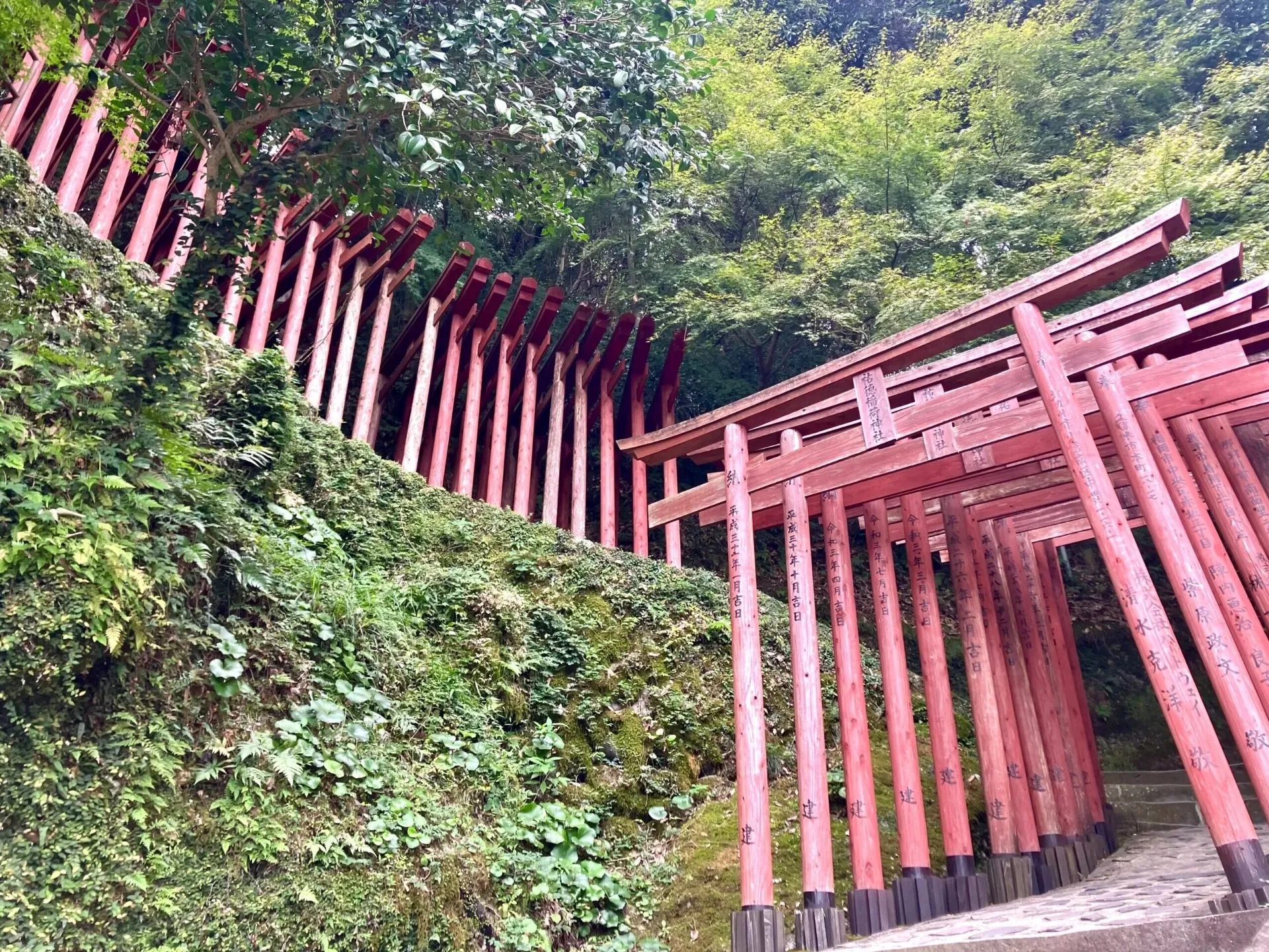 奥の院へ続く参道