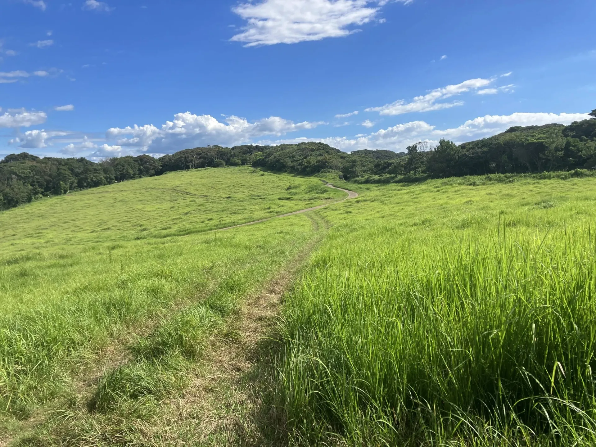 広大な芝生広場