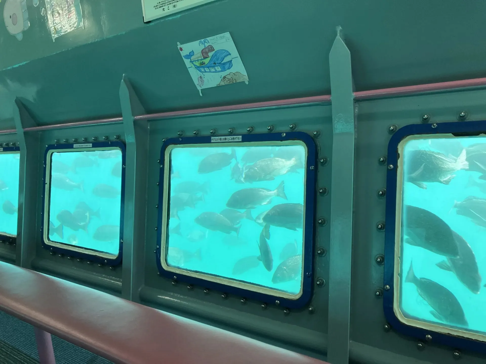 海中展望船ジーラ