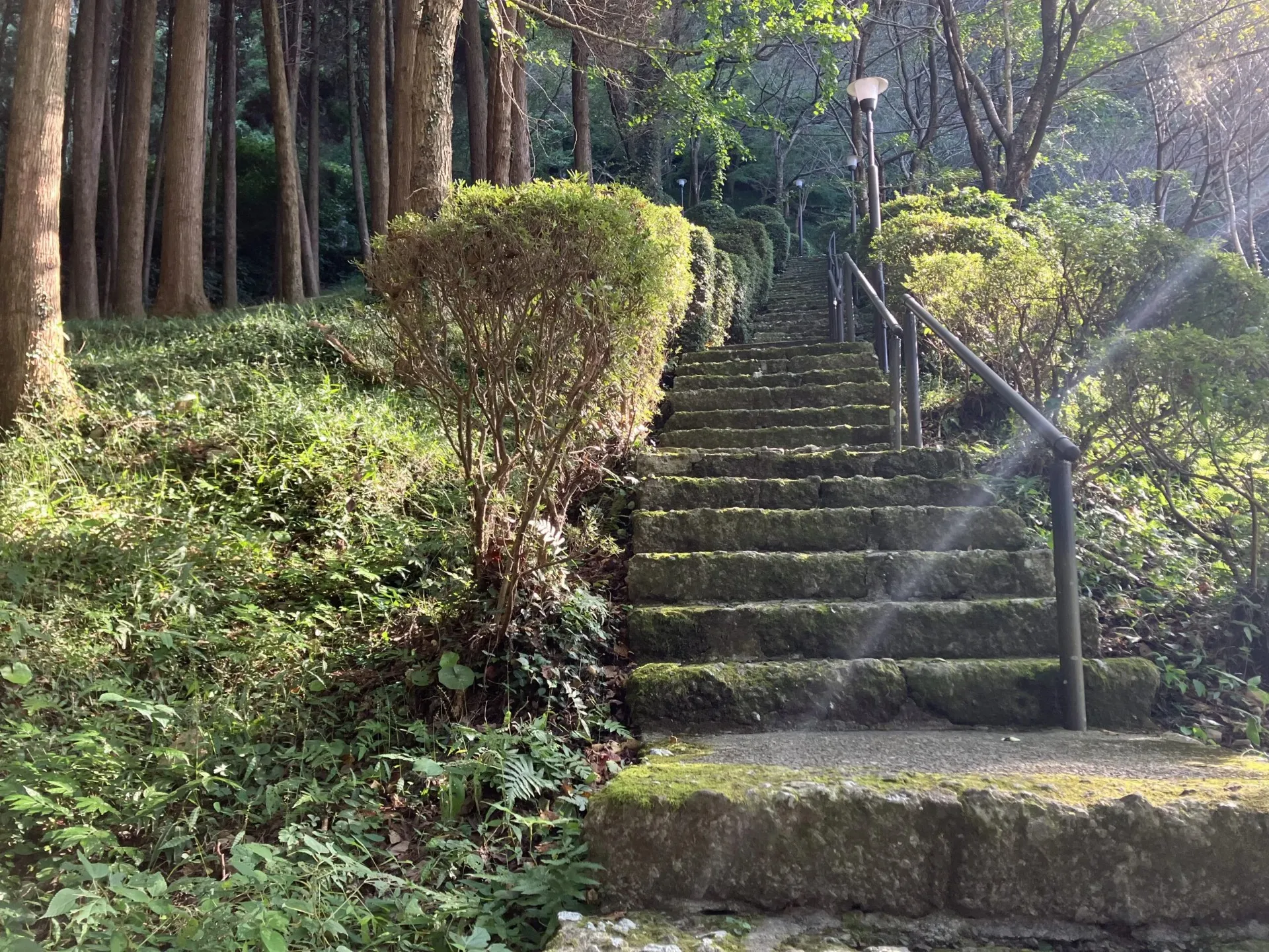 長く急登な参道