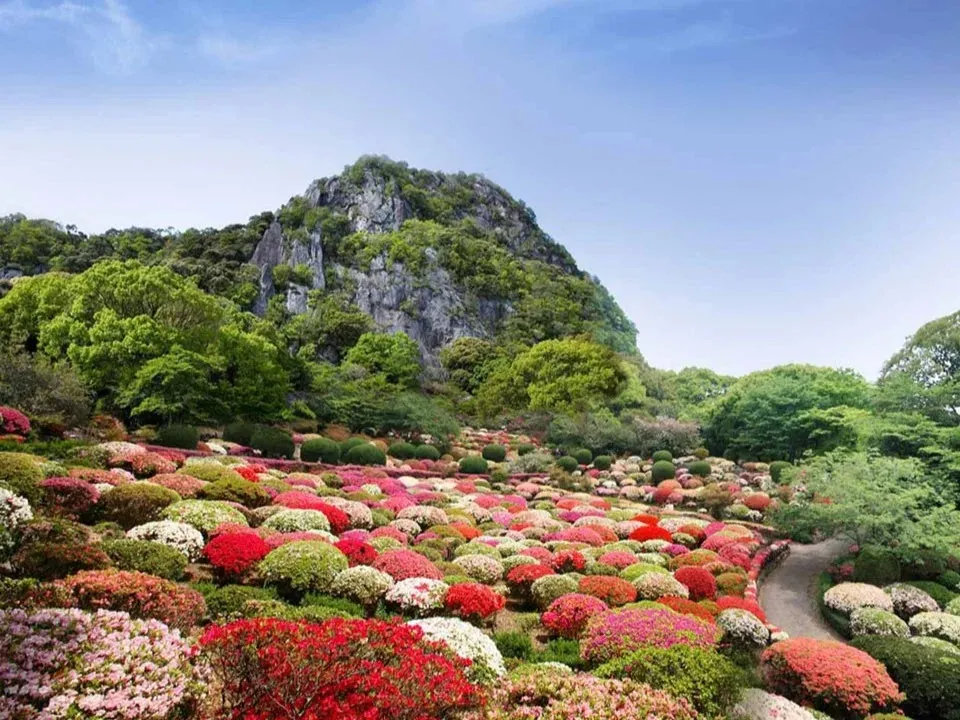 つつじの頃<br>写真提供：佐賀県観光連盟