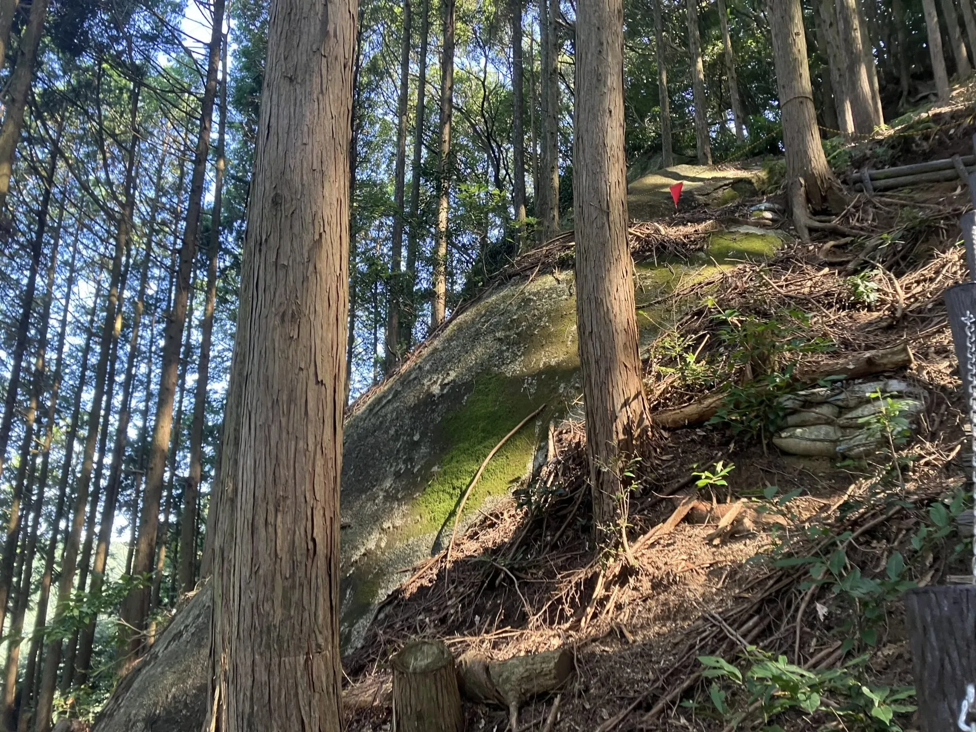片道１５分ほどの急登トレッキングになります。
