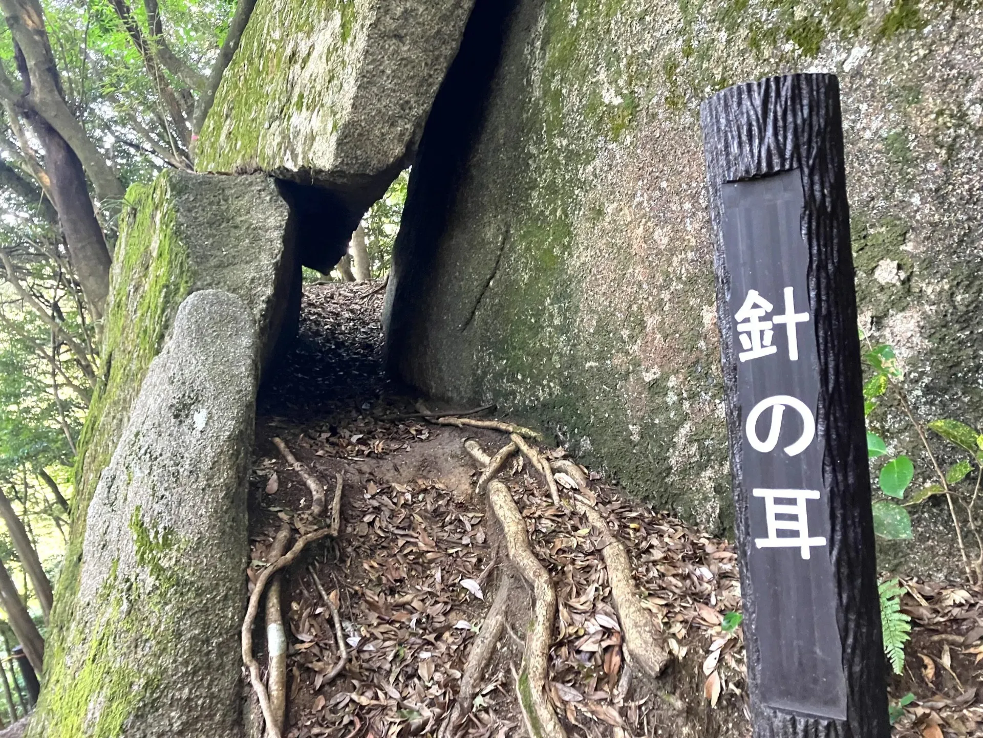 「落ちない岩」の先にある「針の耳」