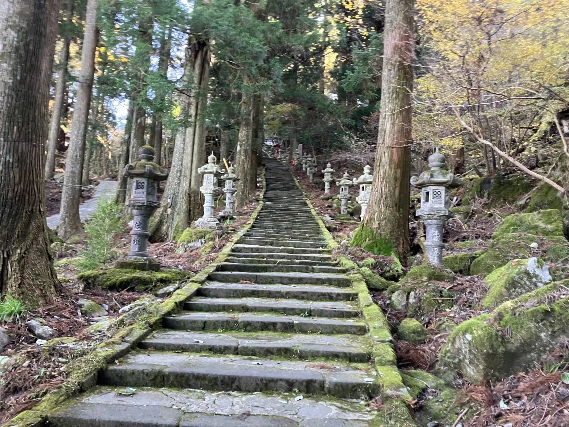 豊前坊高住神社
