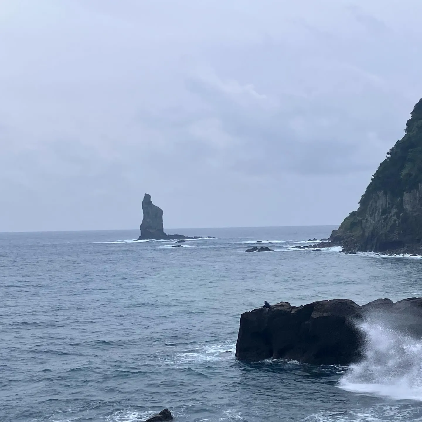 枕崎市のシンボル 立神岩(ローソク岩🕯️)✨