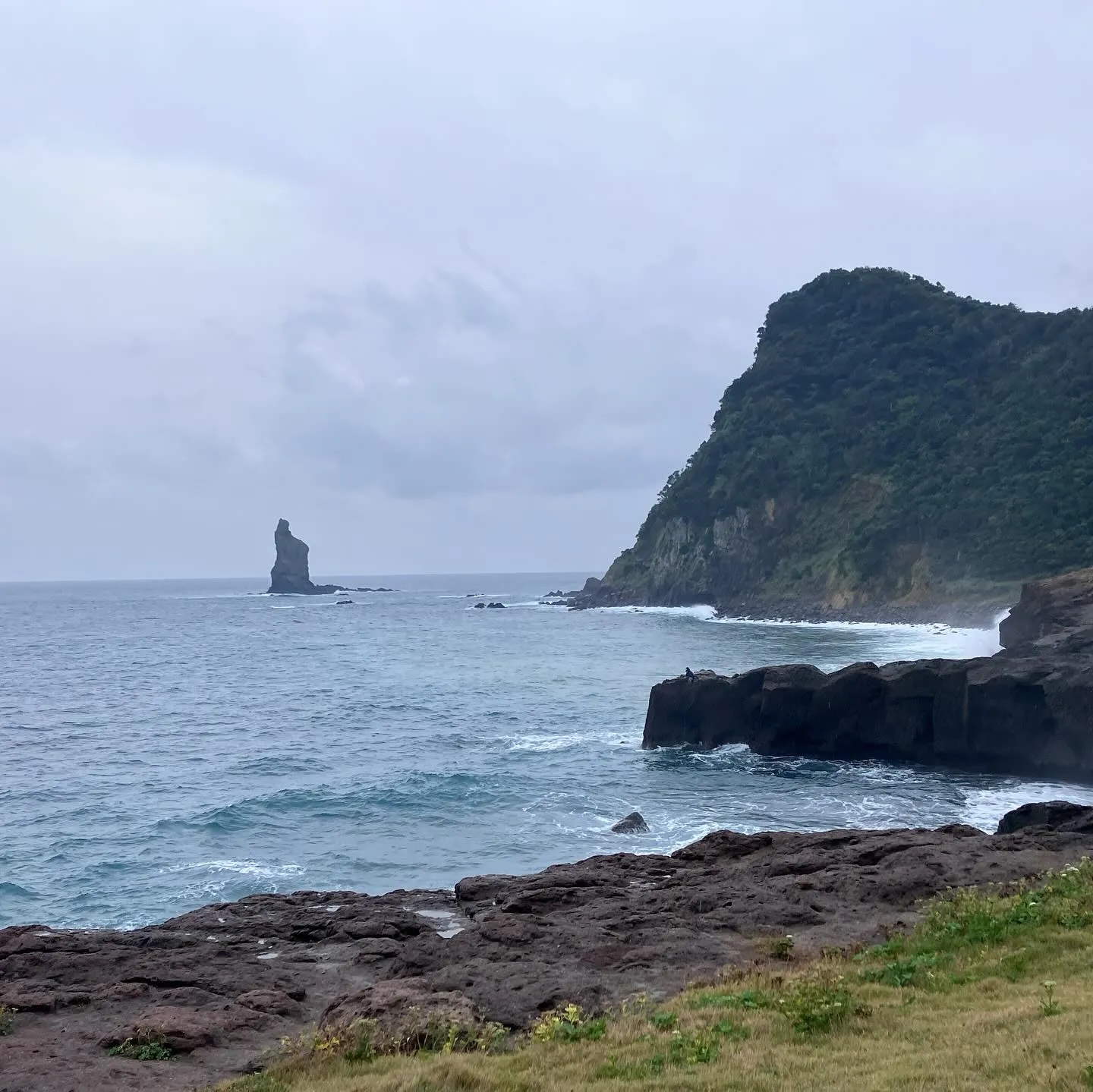 枕崎市のシンボル 立神岩(ローソク岩🕯️)✨