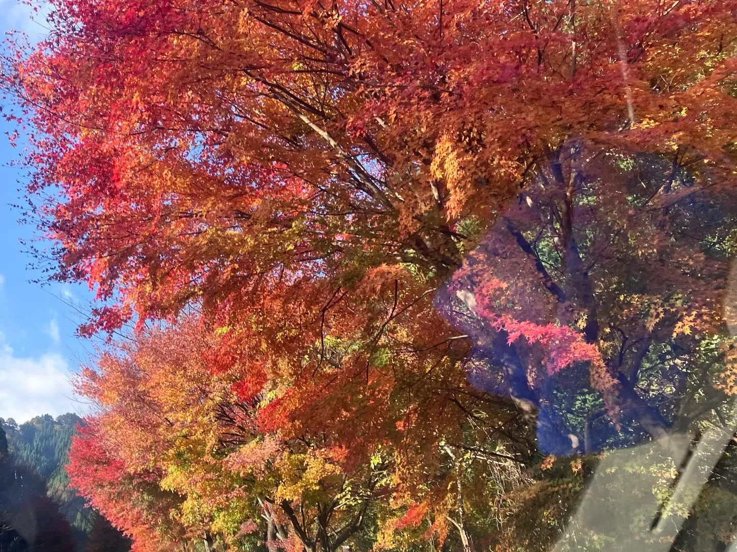 祖母山神掛岩へ国東半島レジェンドの服部さんとハイキング🚶‍➡...