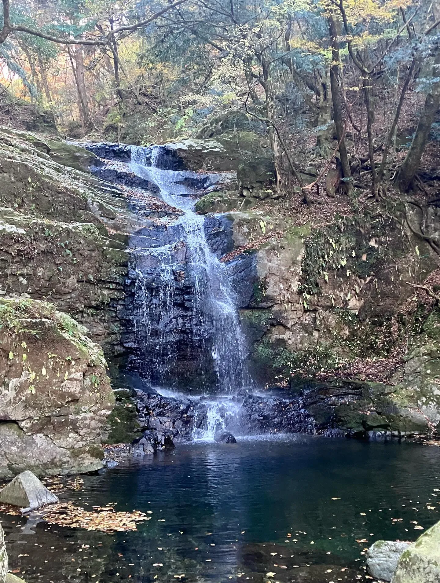 祖母山の素晴らしき滝巡り😃