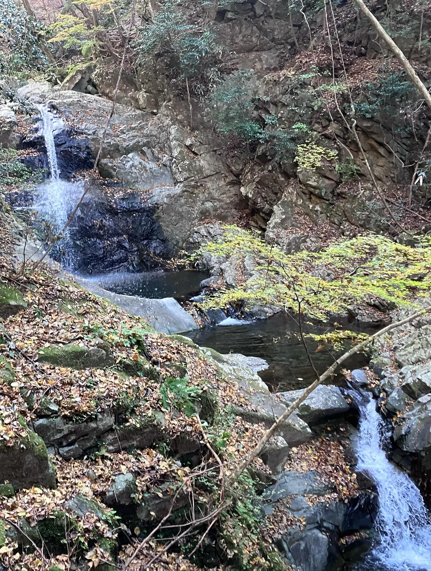 祖母山の素晴らしき滝巡り😃