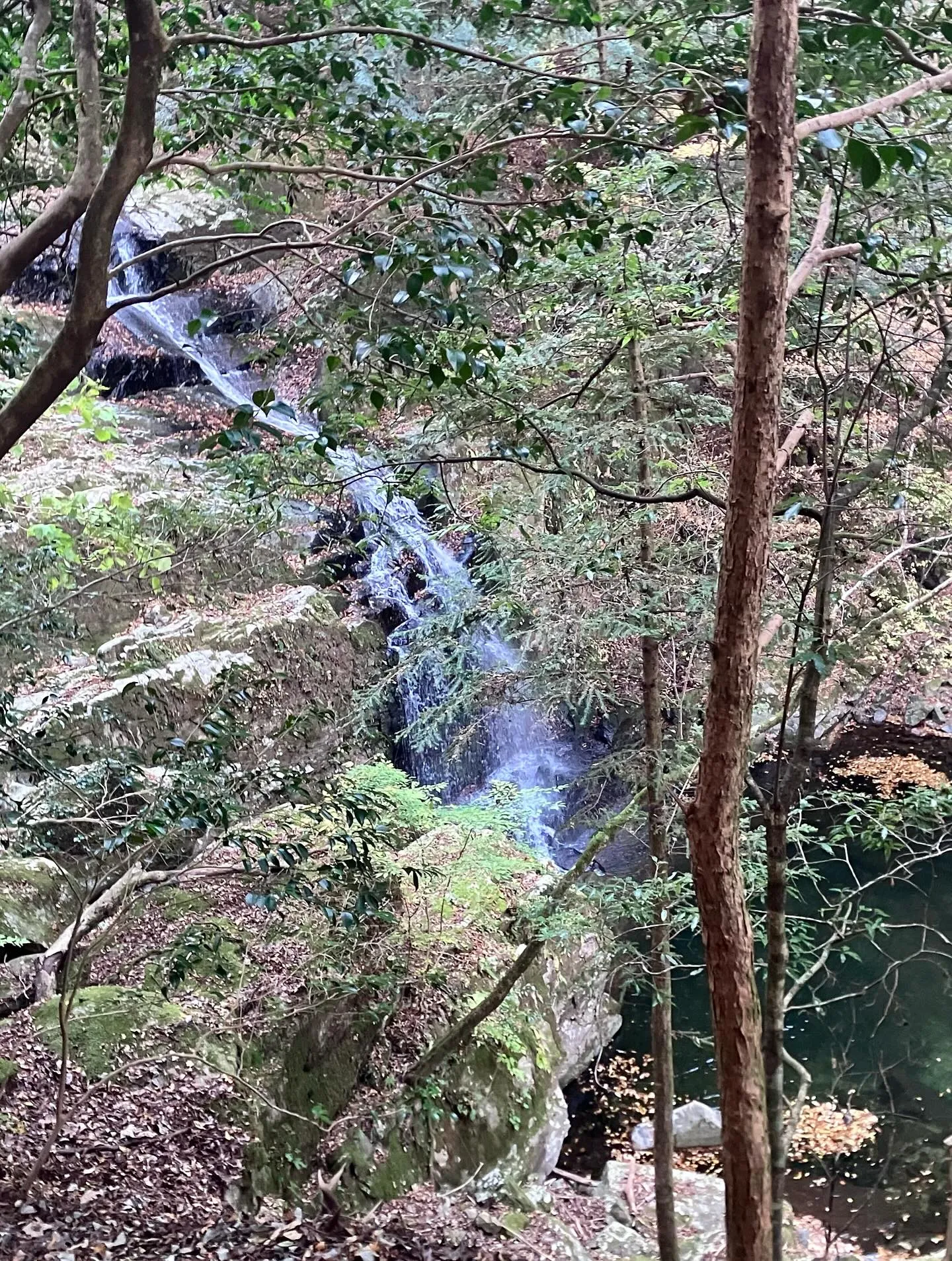 祖母山の素晴らしき滝巡り😃