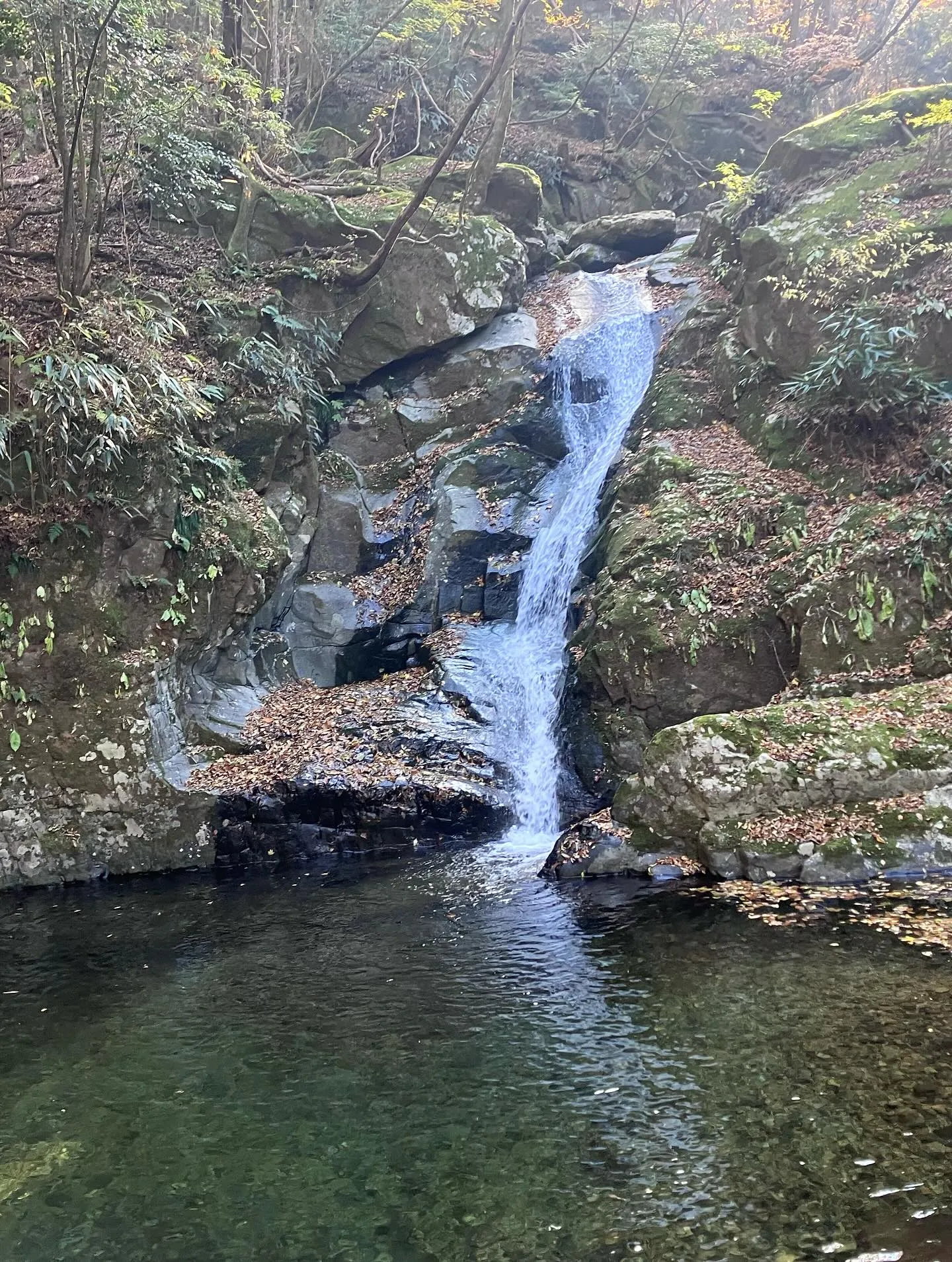 祖母山の素晴らしき滝巡り😃