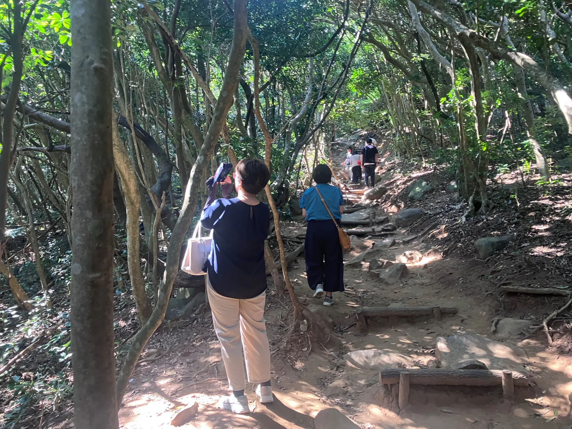 糸島半島へご案内