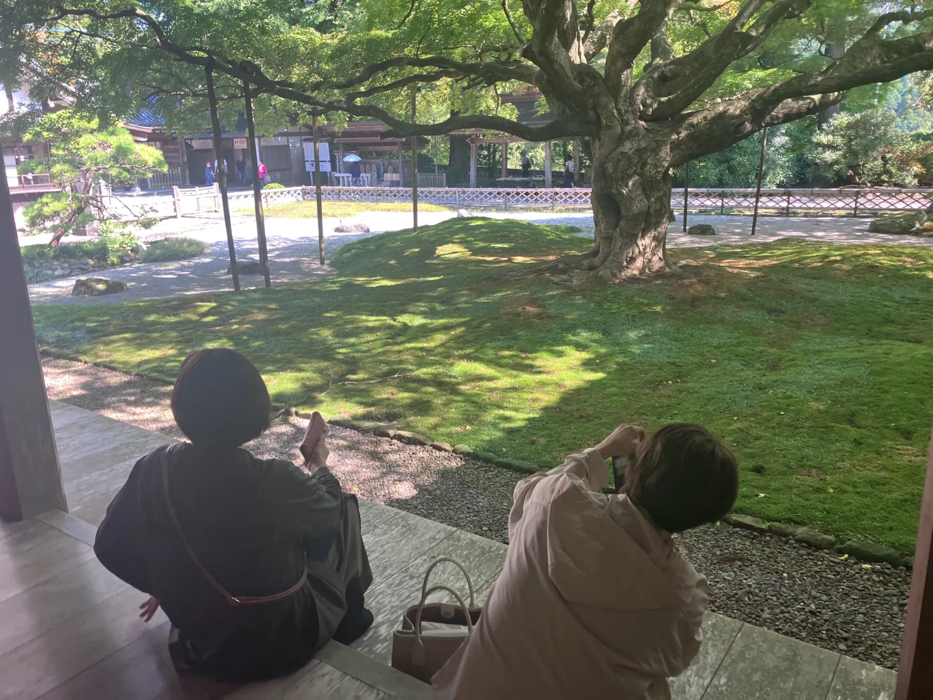 糸島半島へご案内