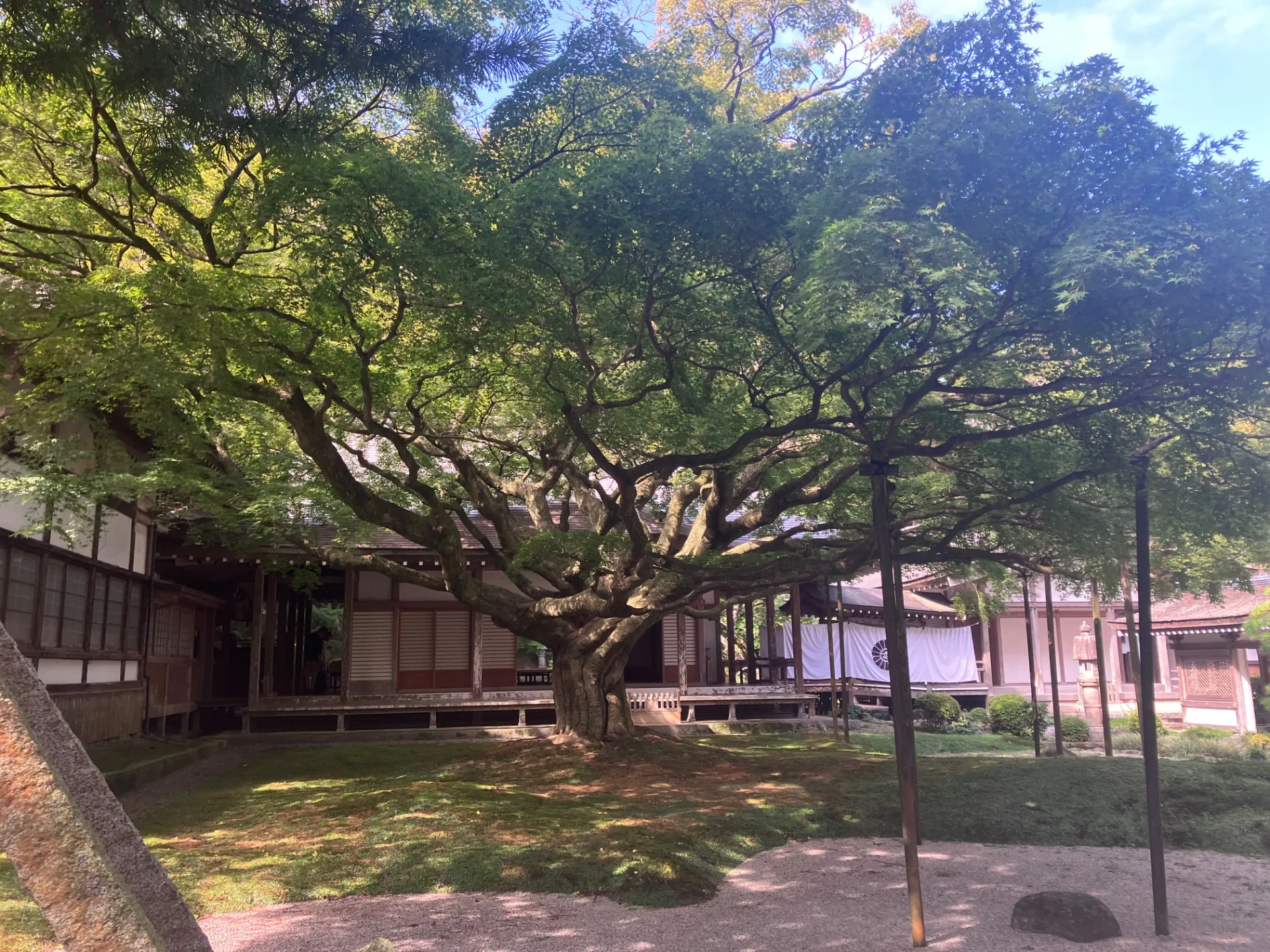 糸島半島へご案内