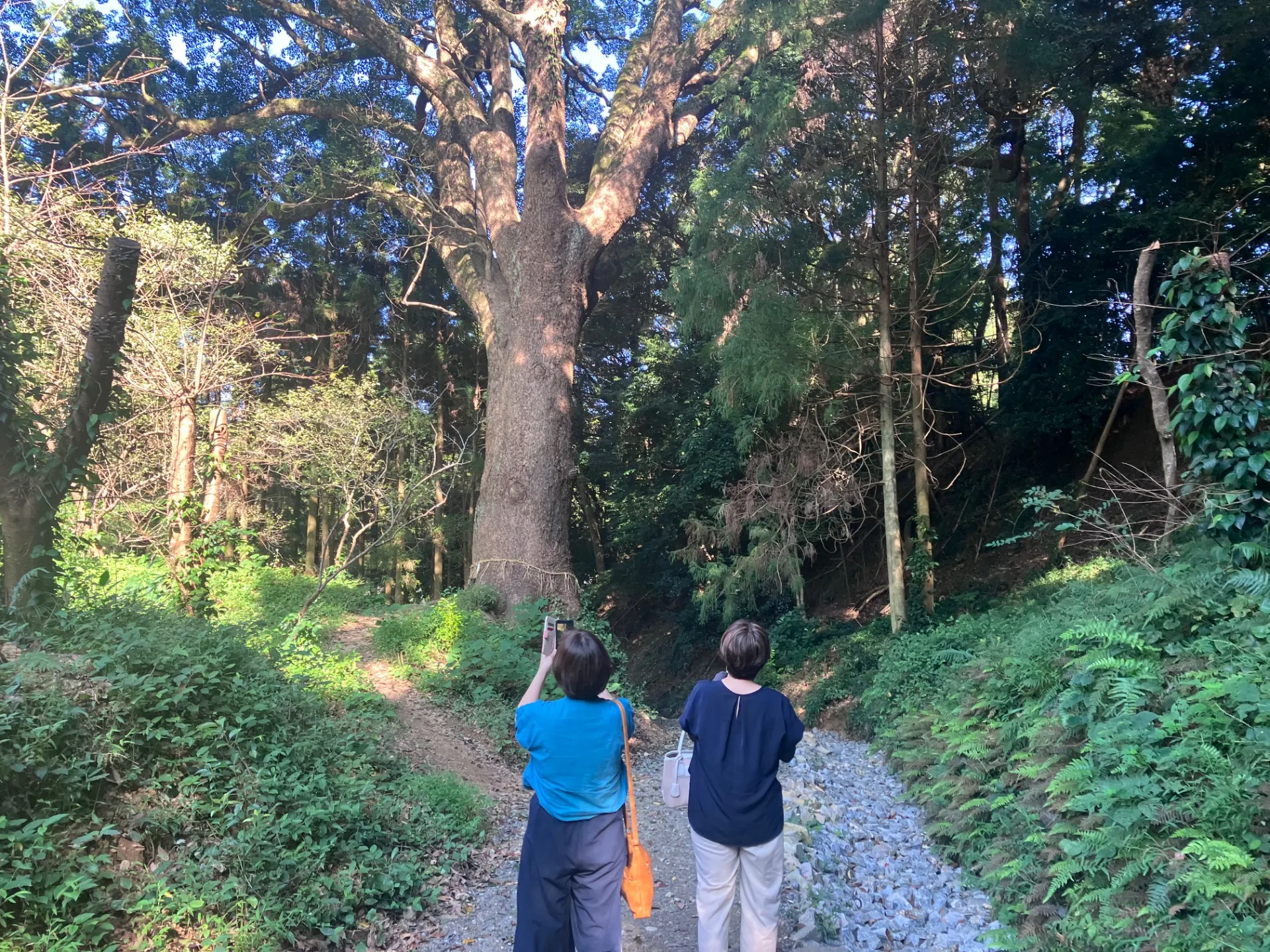 糸島半島へご案内