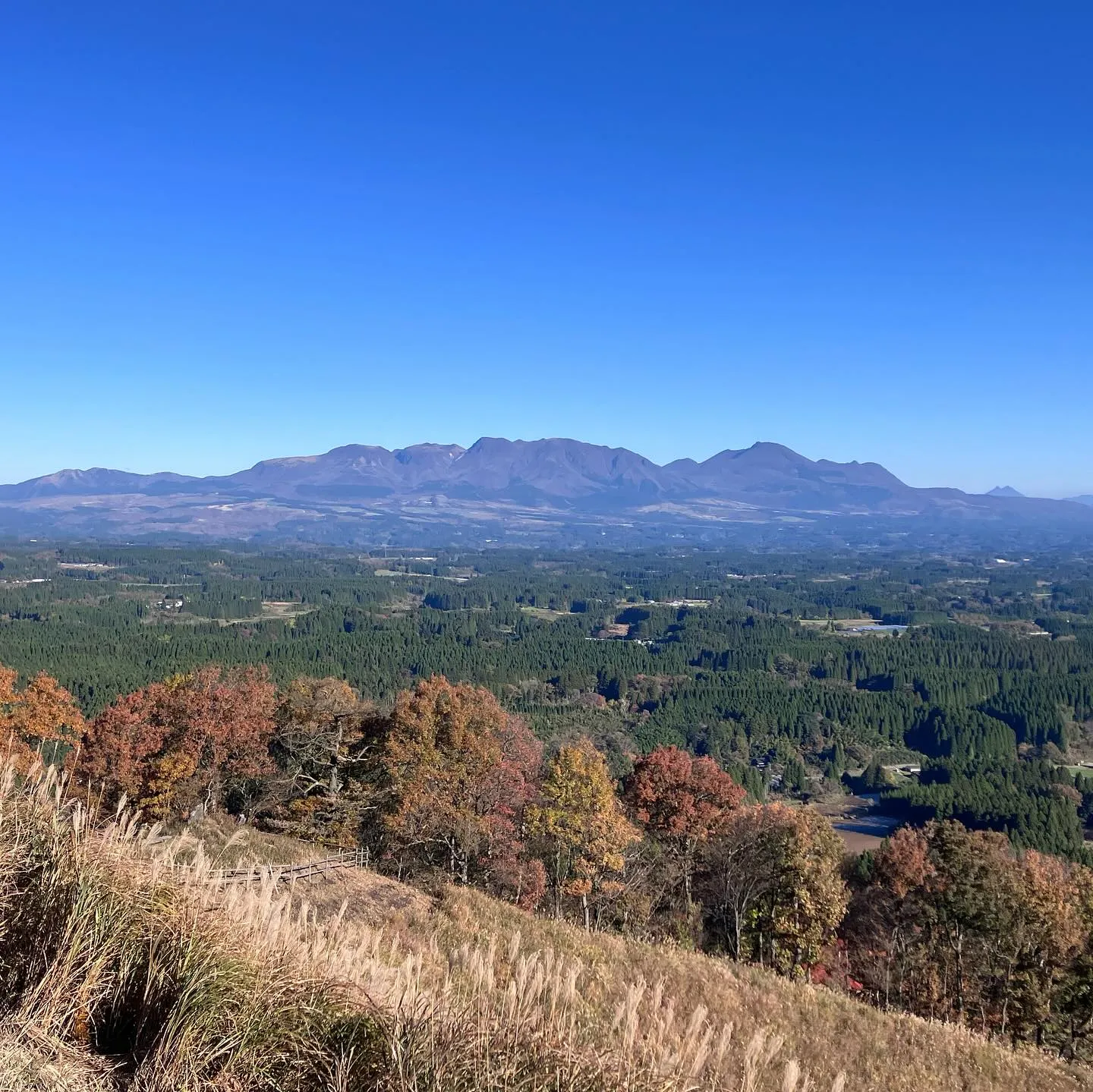 今年1番の天気で雲が1つも無い☀️👀