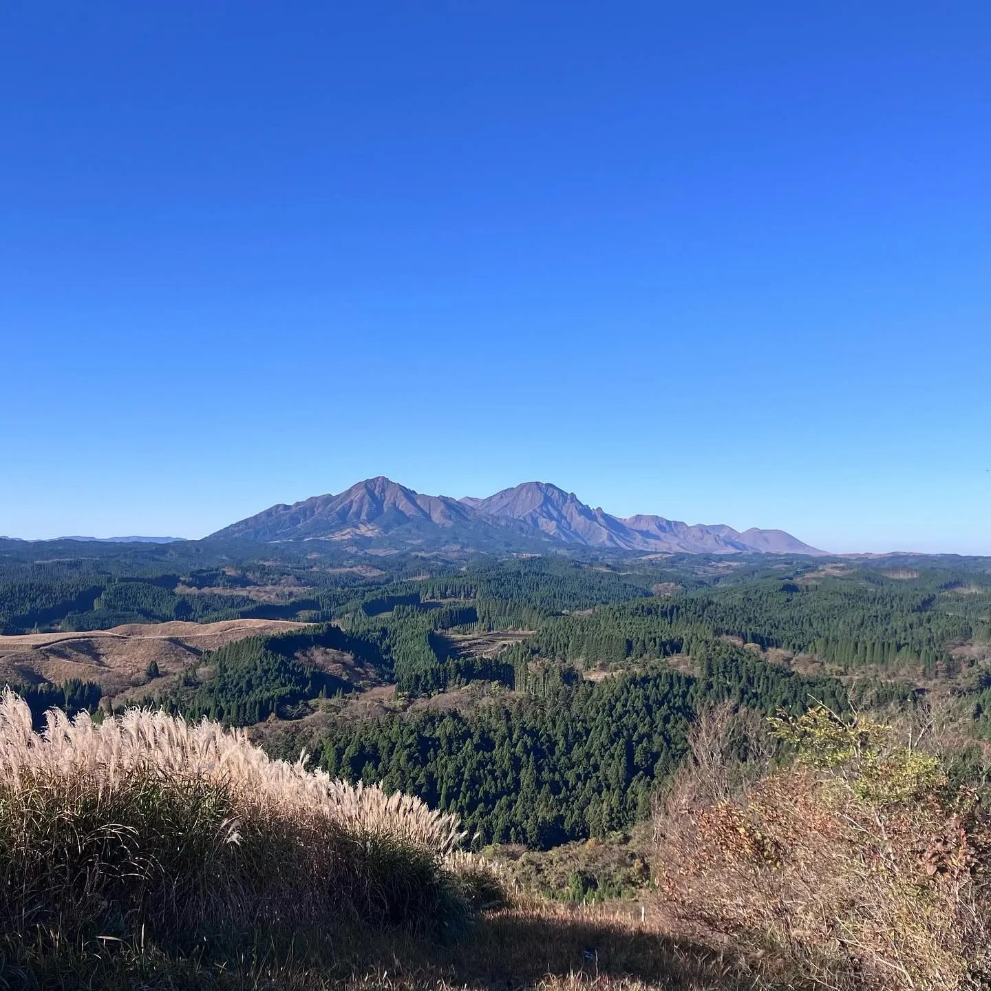 今年1番の天気で雲が1つも無い☀️👀