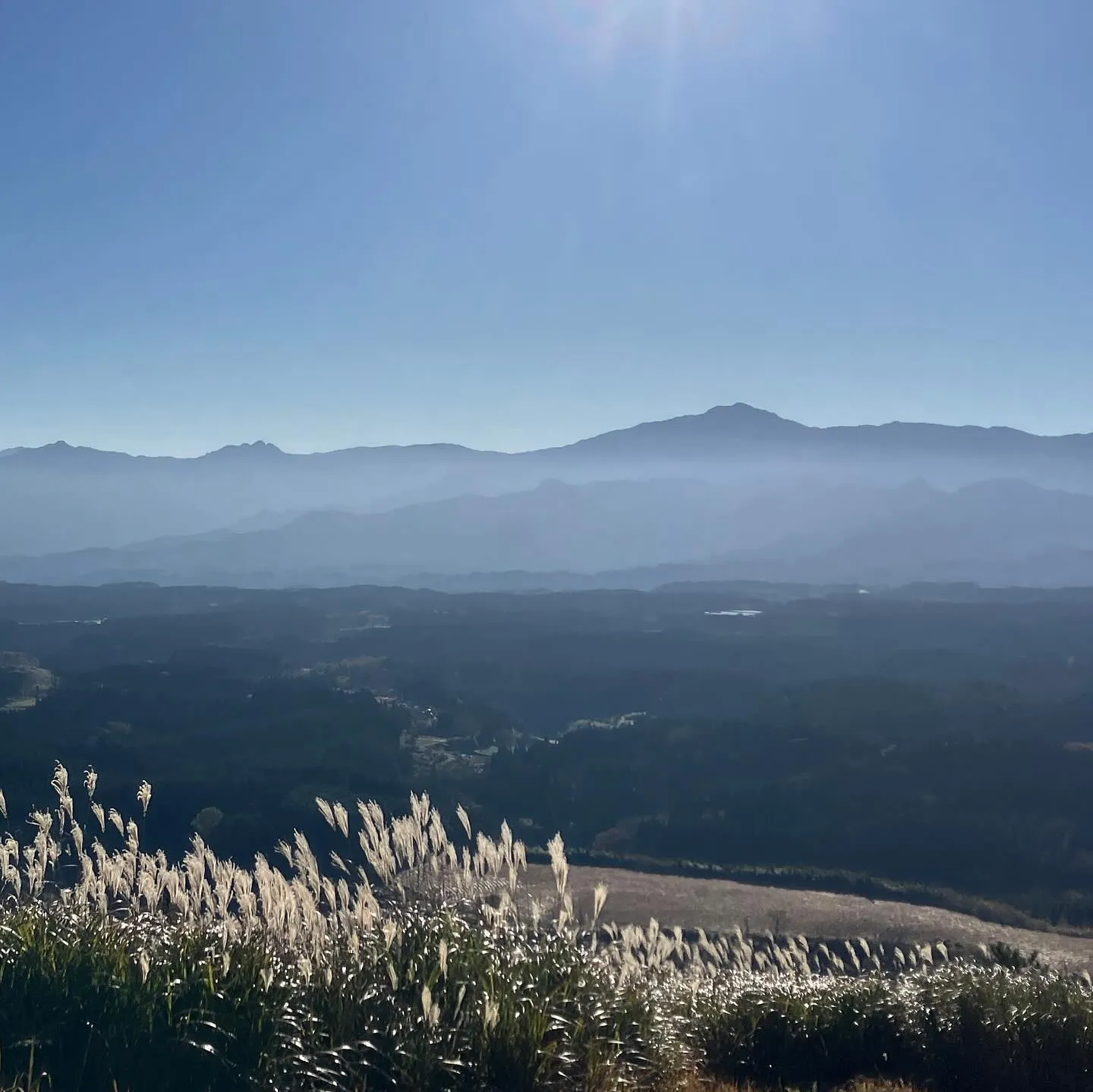 今年1番の天気で雲が1つも無い☀️👀