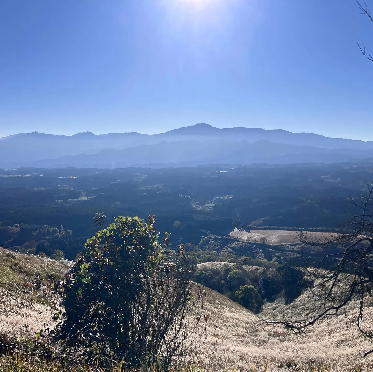 今年1番の天気で雲が1つも無い☀️👀