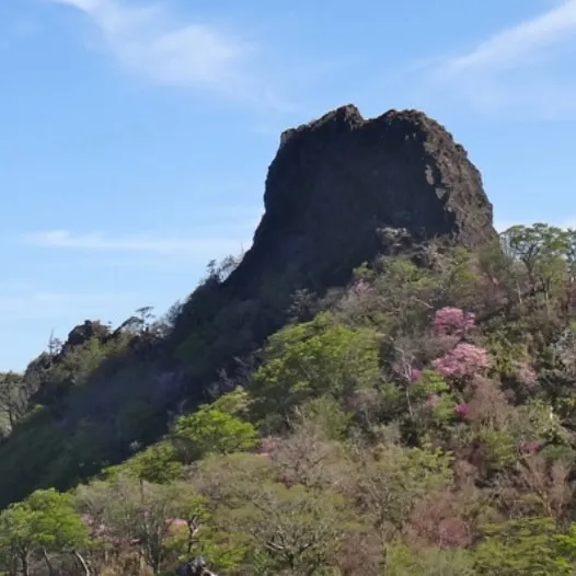 九州最難関の１つ 北部宮崎の鹿納坊主へ来週10日or11日に...