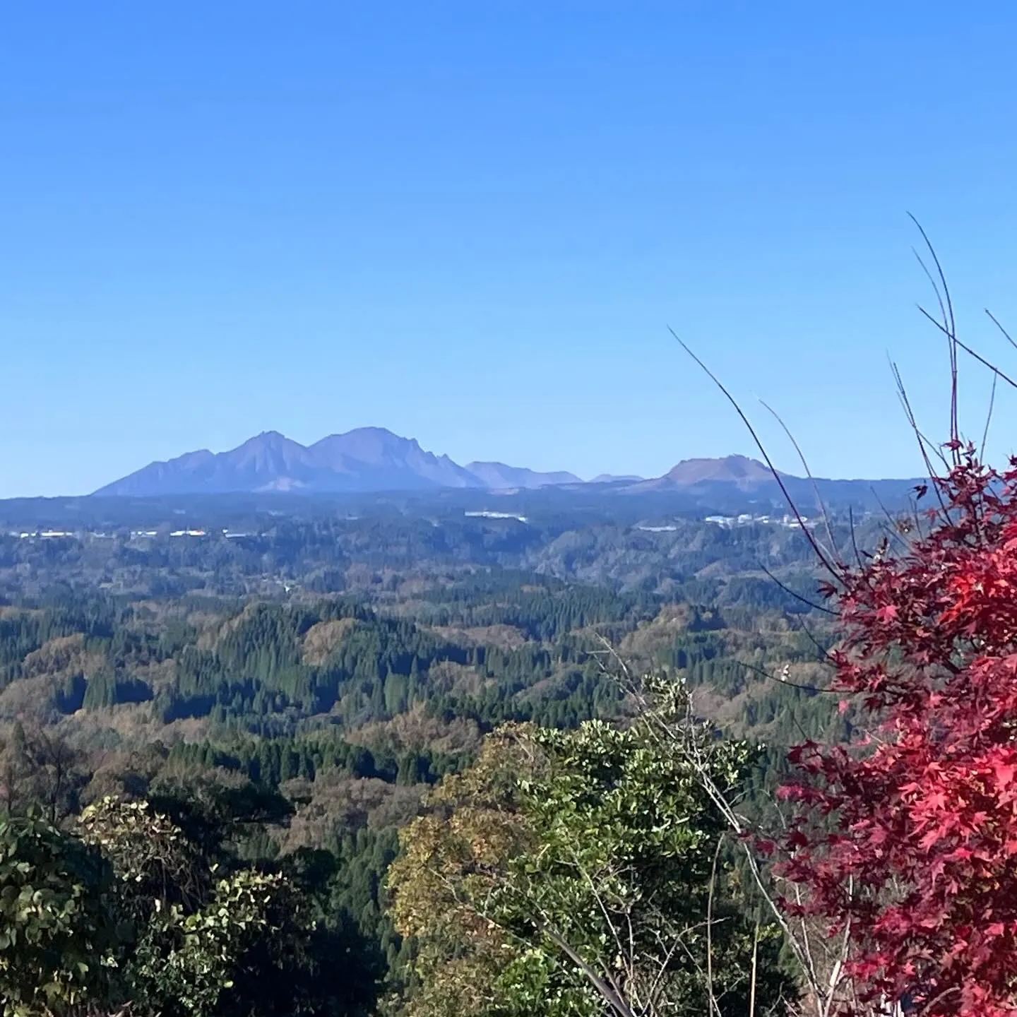 個人オーナーが開放されている素晴らしい山 牧ノ城✨