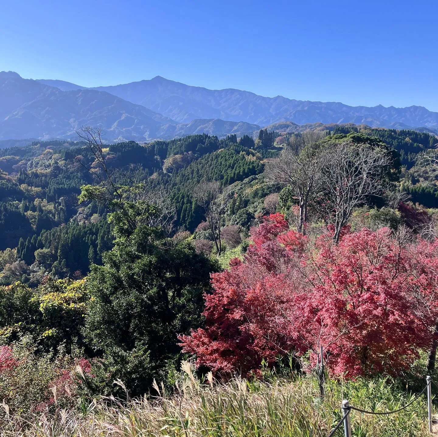 個人オーナーが開放されている素晴らしい山 牧ノ城✨