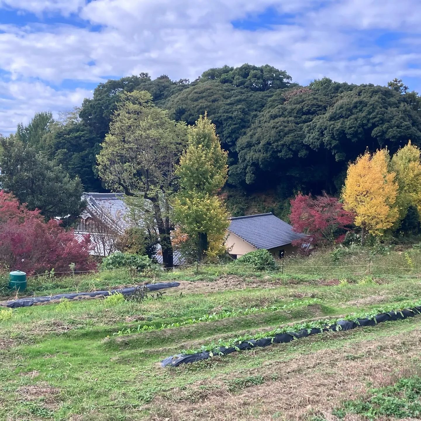 玄海少年自然の家に宿泊していた後、午後から車で10分で行けて...