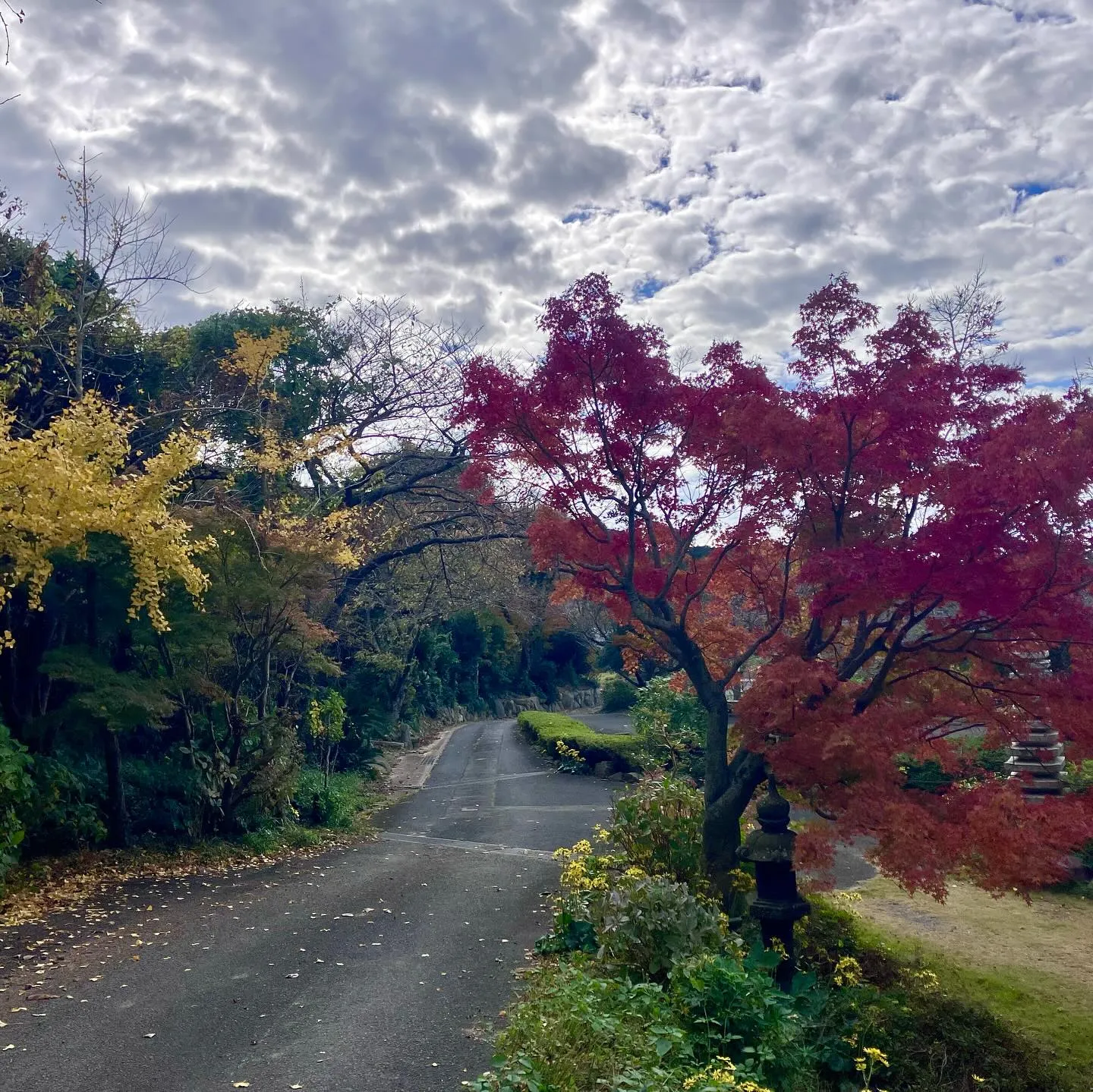 玄海少年自然の家に宿泊していた後、午後から車で10分で行けて...