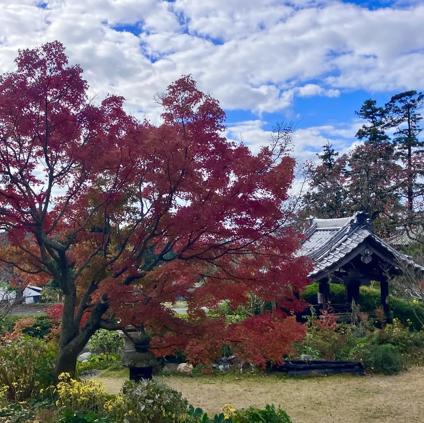 玄海少年自然の家に宿泊していた後、午後から車で10分で行けて...
