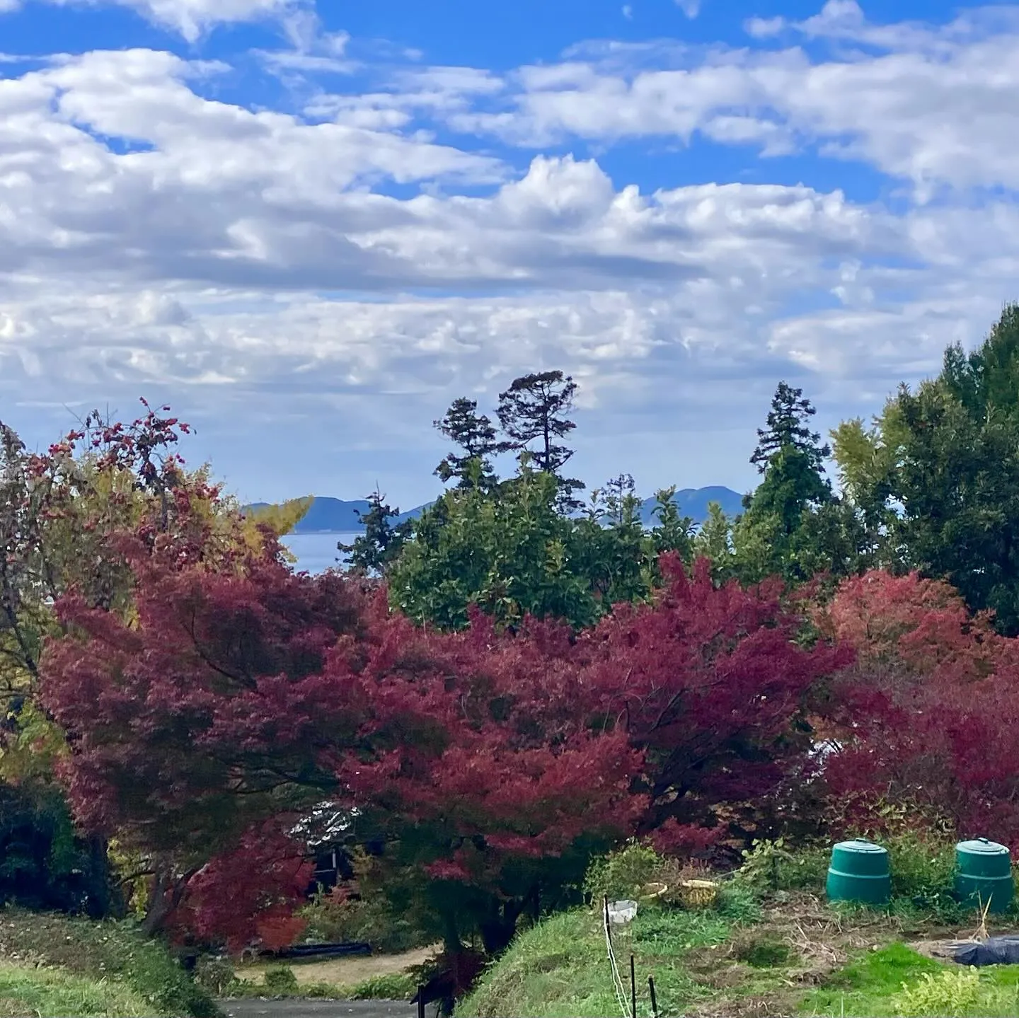 玄海少年自然の家に宿泊していた後、午後から車で10分で行けて...