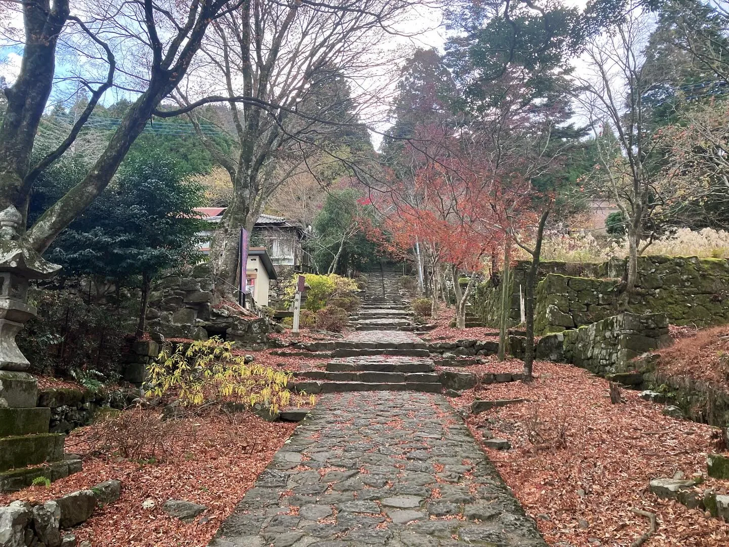 12/1から英彦山神宮上宮の修復が3年半振りに完成し、多くの...