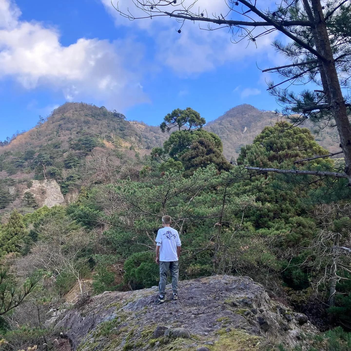 英彦山神宮上宮の修復工事完成に合わせ、日本三大修験 英彦山(...