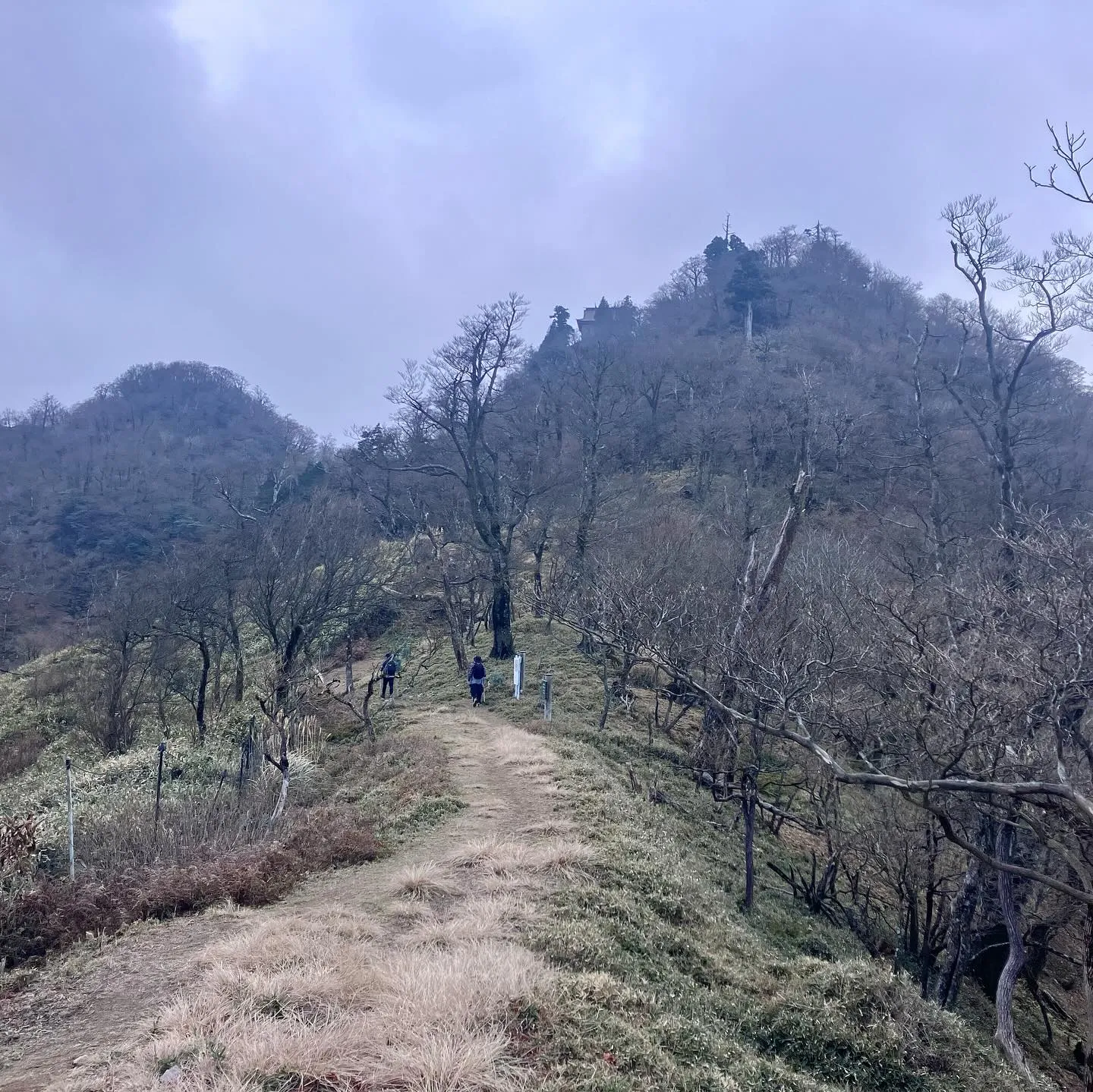 英彦山神宮上宮の修復工事完成に合わせ、日本三大修験 英彦山(...