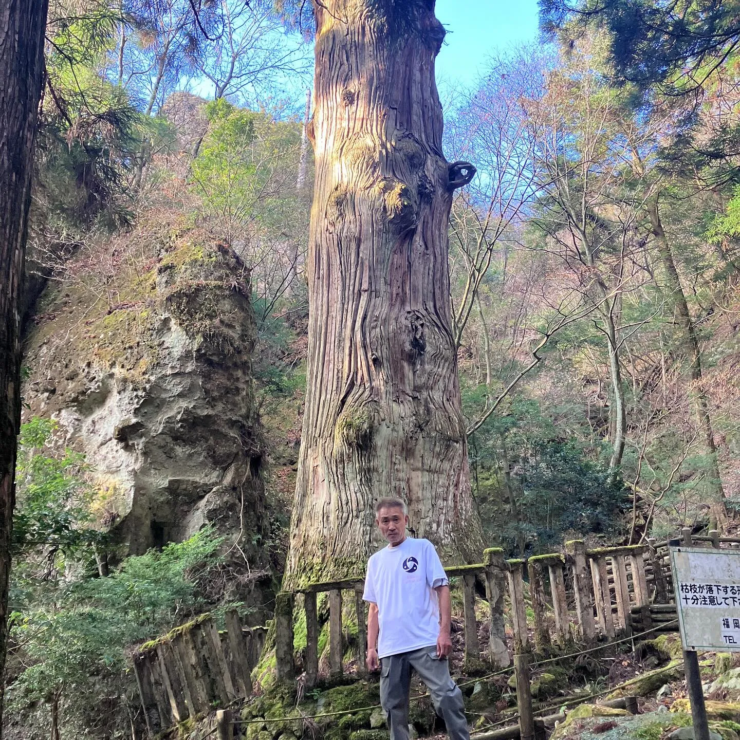 英彦山縦走路解禁で縦走路〜鹿の角・猫の丸尾の厳しい修験ルート...