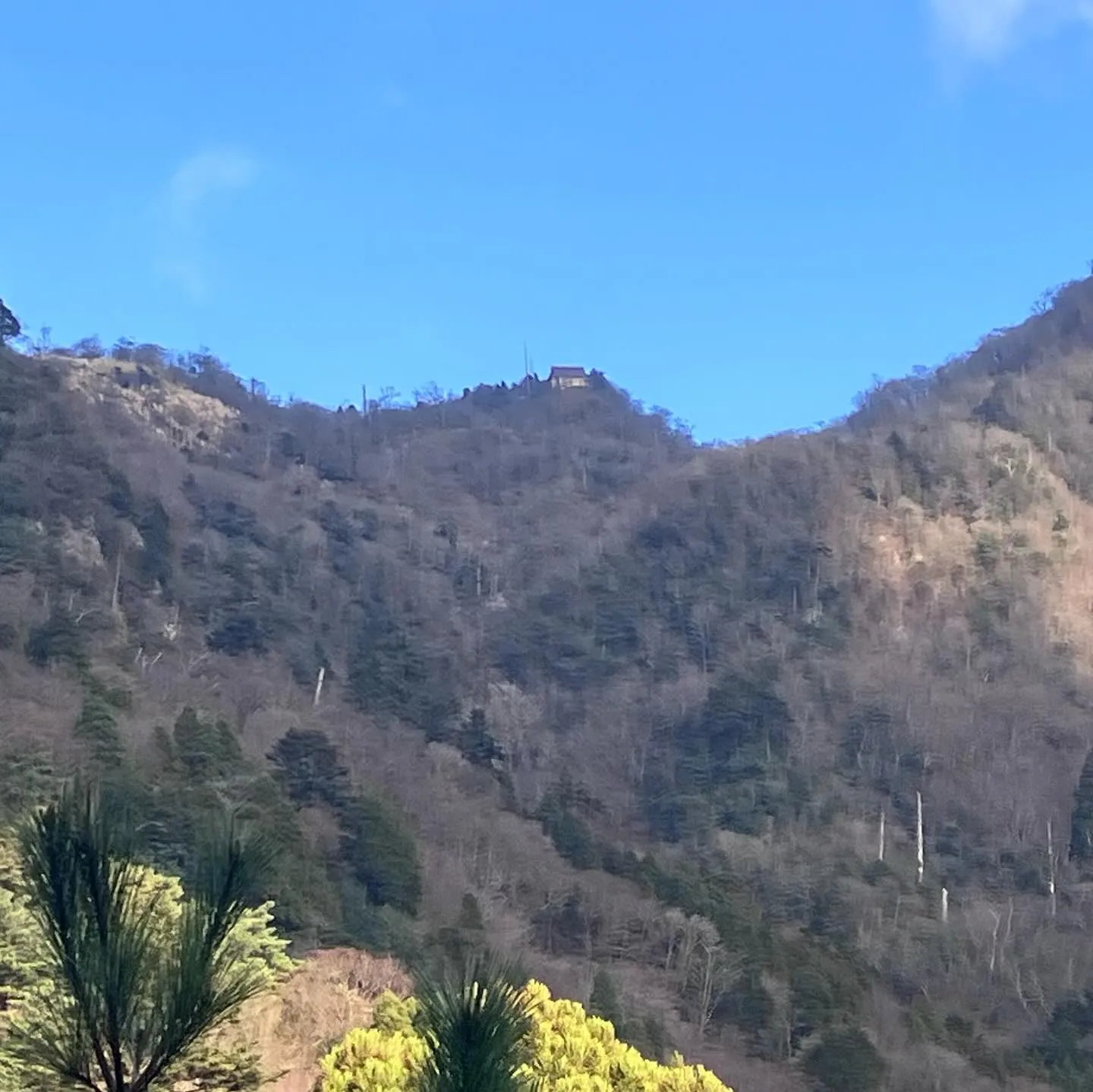 英彦山縦走路解禁で縦走路〜鹿の角・猫の丸尾の厳しい修験ルート...