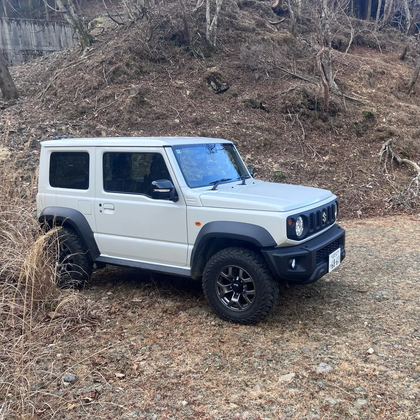 ジムニー、最強ですね‼️