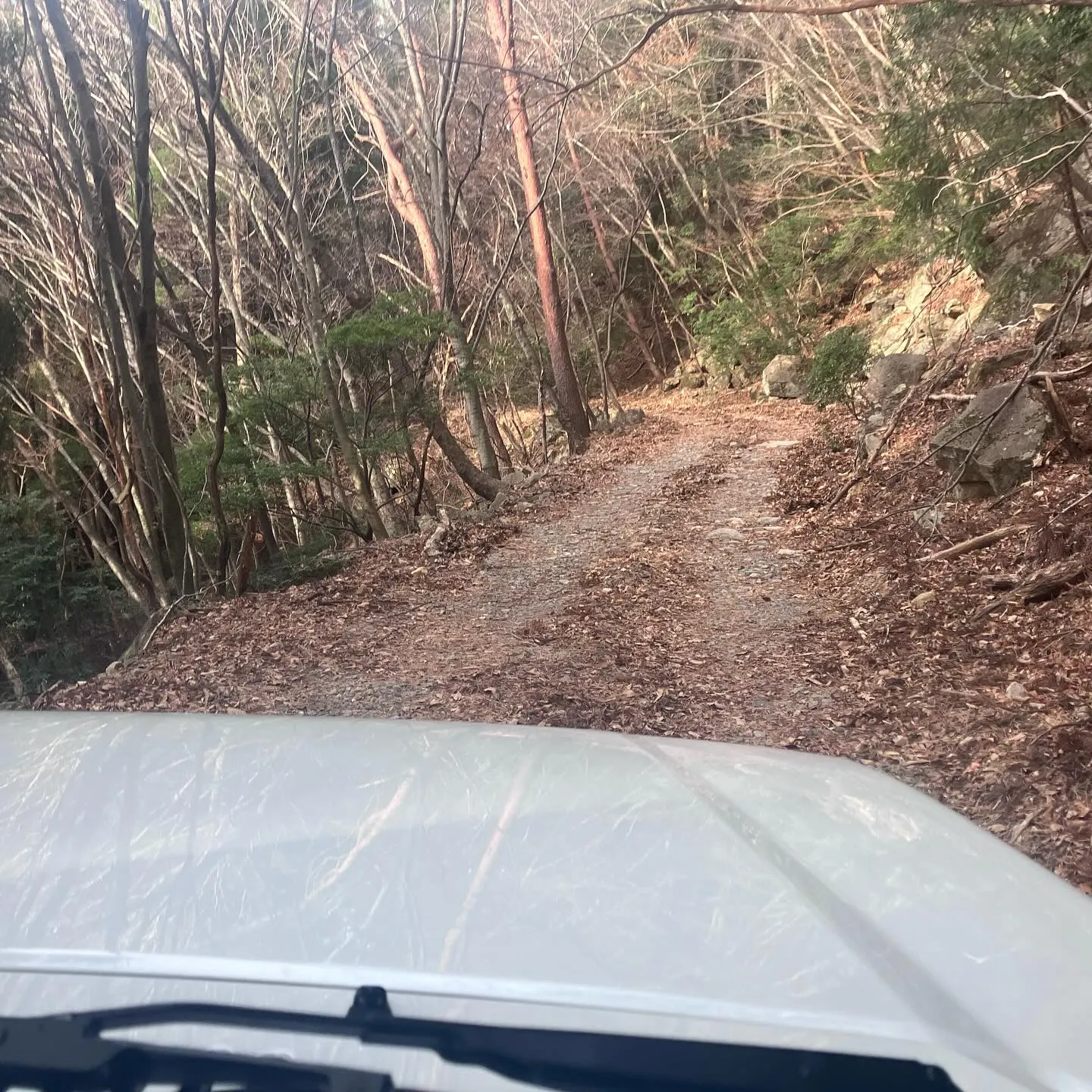 ジムニー、最強ですね‼️