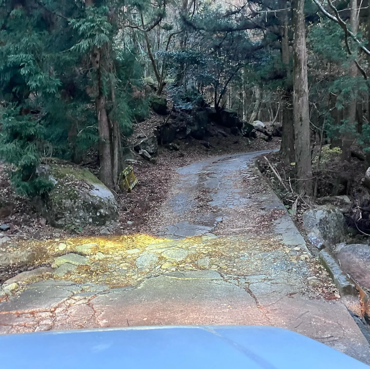 ジムニー、最強ですね‼️