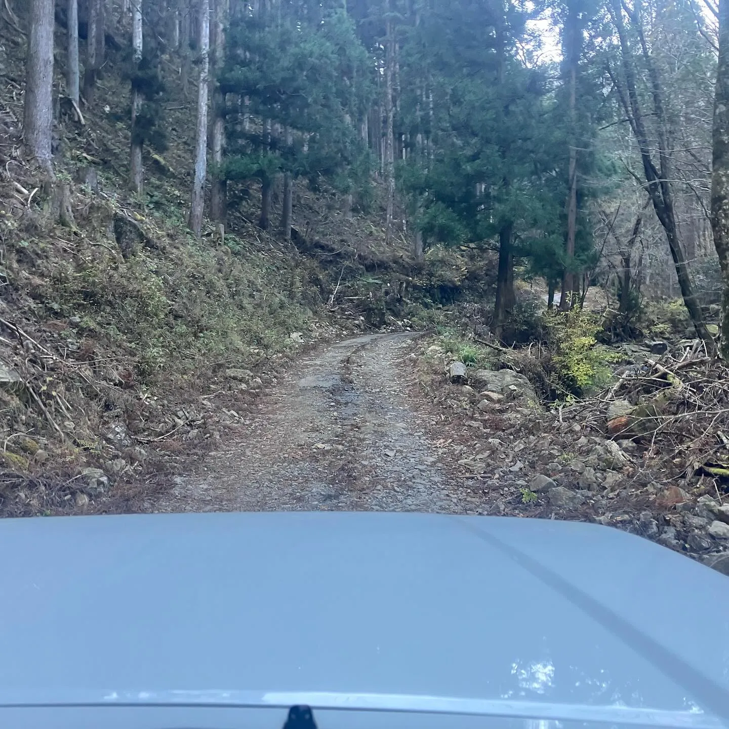 ジムニー、最強ですね‼️