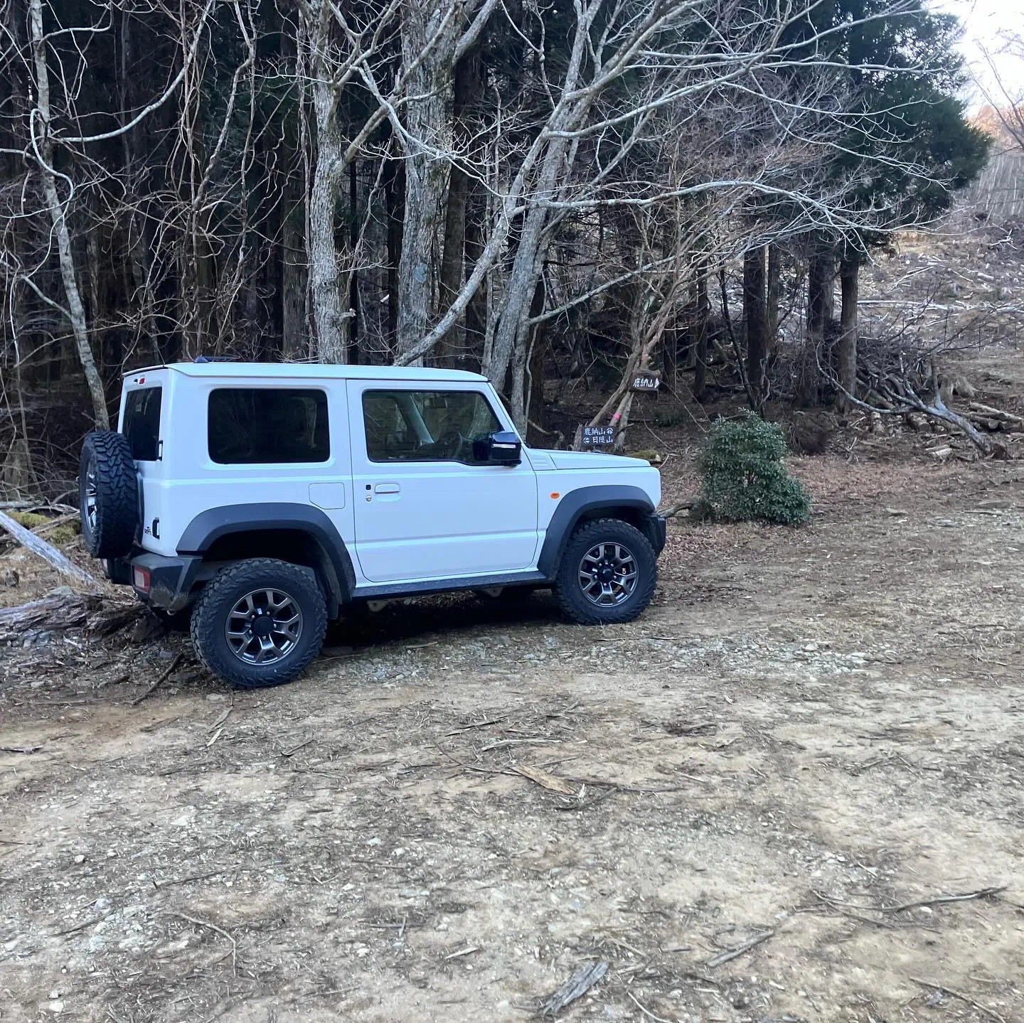 ジムニー、最強ですね‼️